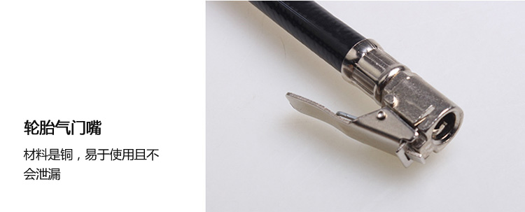 數(shù)顯測壓表