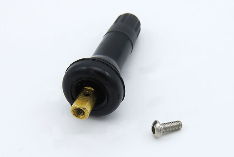 胎壓監(jiān)測(cè)氣門嘴TPMS-01