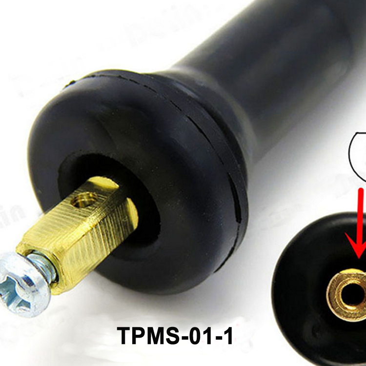 胎壓監(jiān)測(cè)氣門嘴TPMS-01
