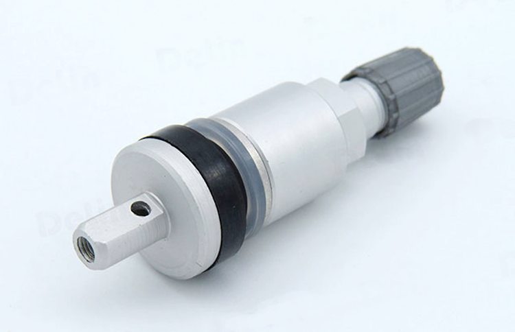 胎壓監測氣門嘴TPMS-02