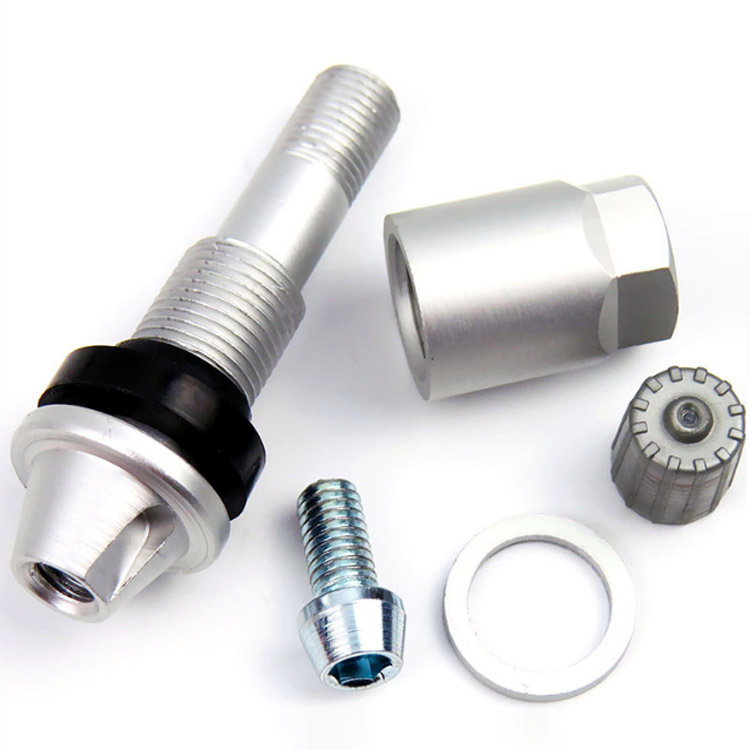 TPMS-08高性能TPMS氣門嘴
