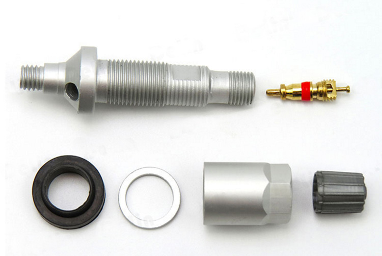 TPMS-10胎壓監測高性能TPMS氣門嘴