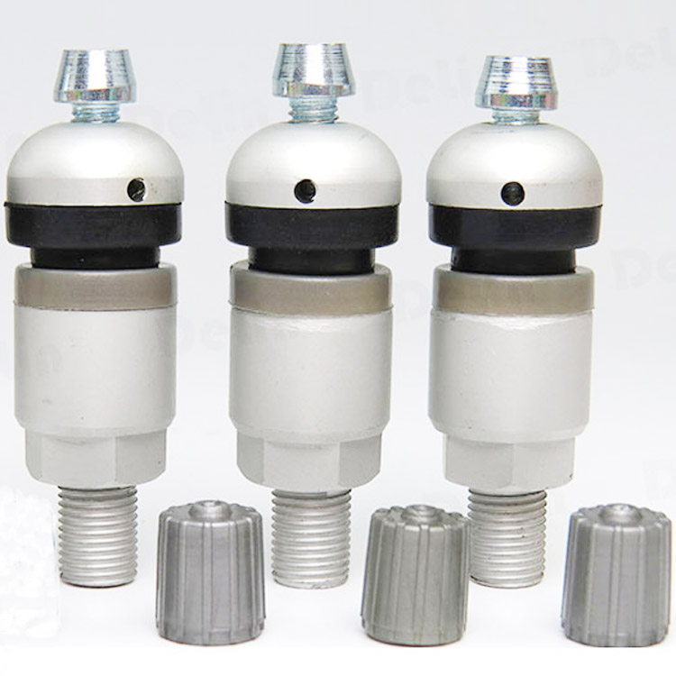 TPMS-17胎壓監測氣門嘴