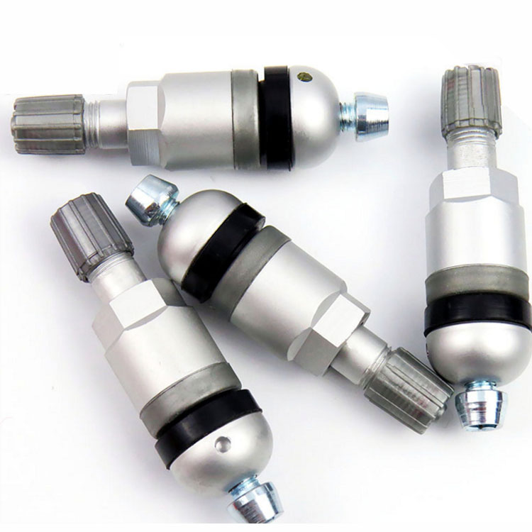 TPMS-17胎壓監測氣門嘴