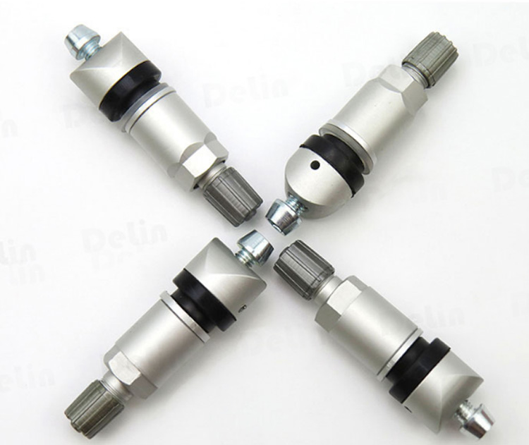 TPMS-18防爆氣門嘴